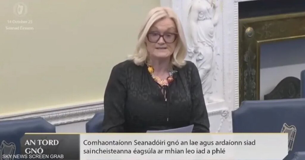 دعوات للتحقيق في نفوذ الإخوان في أيرلندا