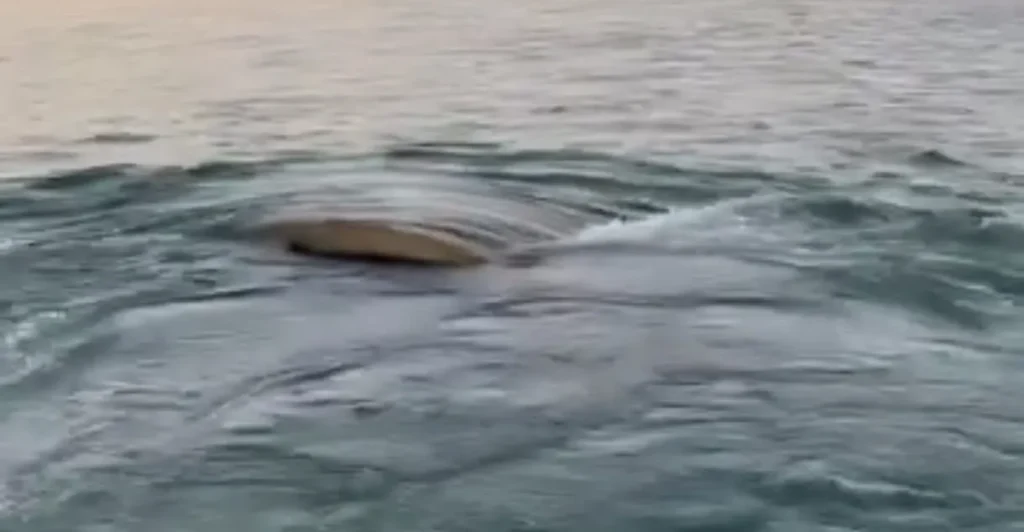 كشف انخفاض نهر دجلة بعد قرن من الغرق عن سفينتين عثمانيتين قصفتا في الشرقاط