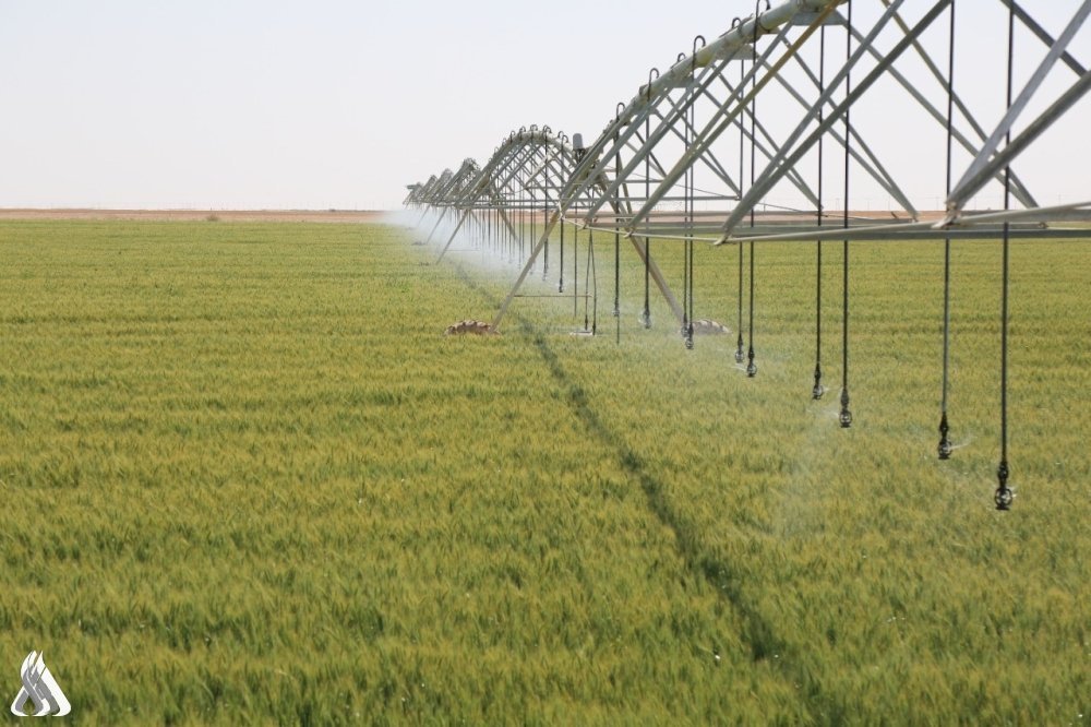 الزراعة: 4.5 مليون دونم ضمن الخطة الشتوية بتبني الري الحديث
