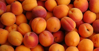 العراق يحتل مركزاً متقدماً بين أكبر مستوردي المشمش في العالم